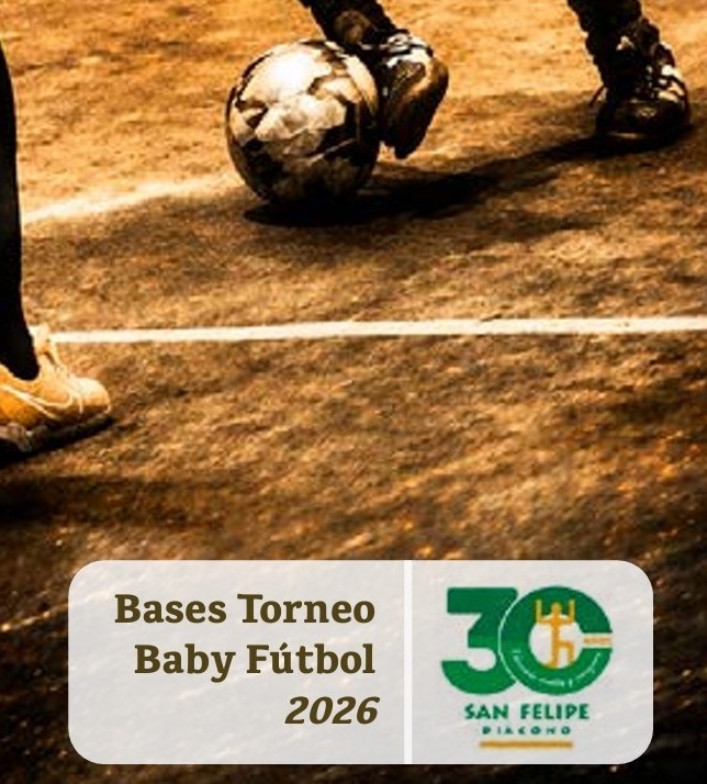 Bases del torneo